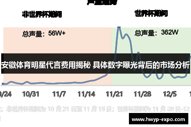 安徽体育明星代言费用揭秘 具体数字曝光背后的市场分析